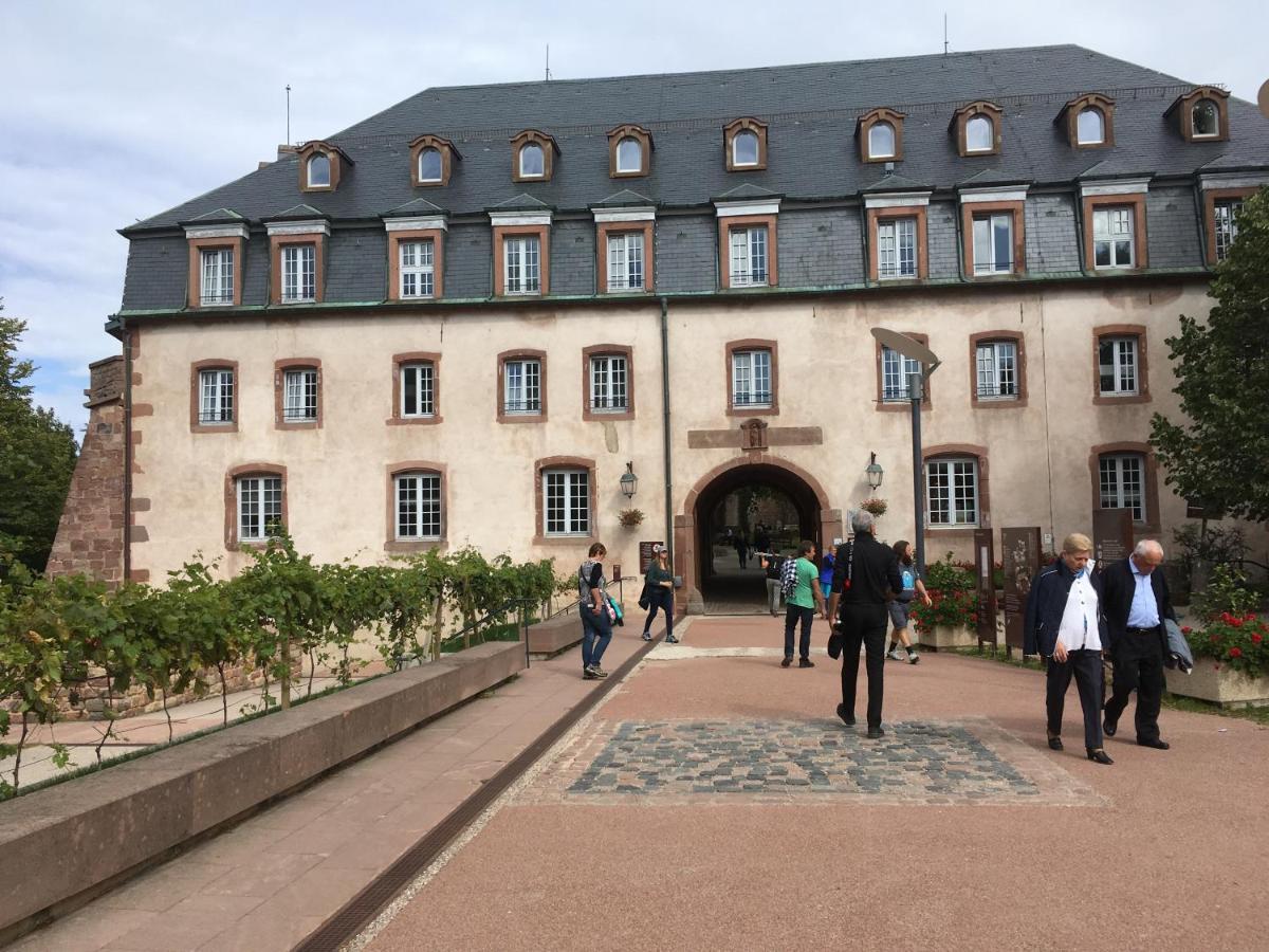 Maison Independante De Montagne En Alsace Bellefosse Ngoại thất bức ảnh