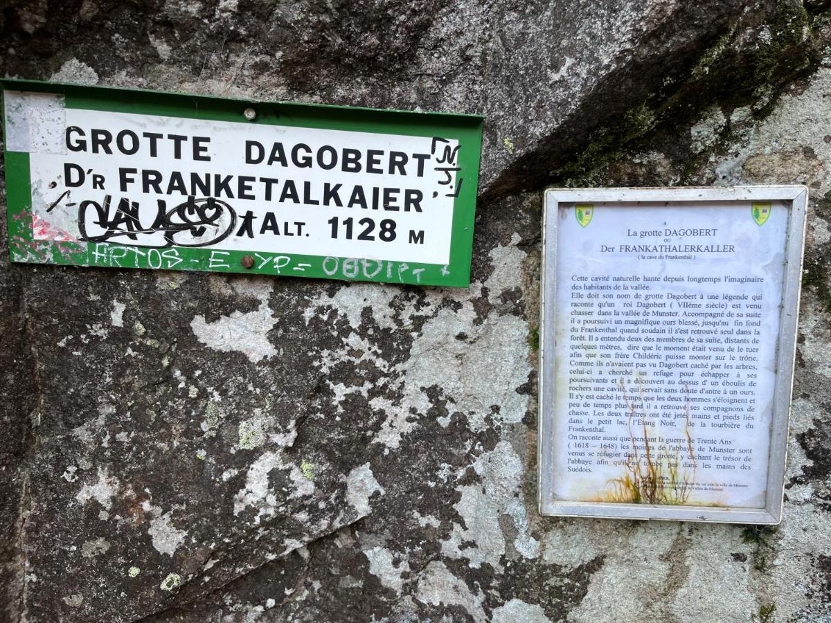 Maison Independante De Montagne En Alsace Bellefosse Ngoại thất bức ảnh