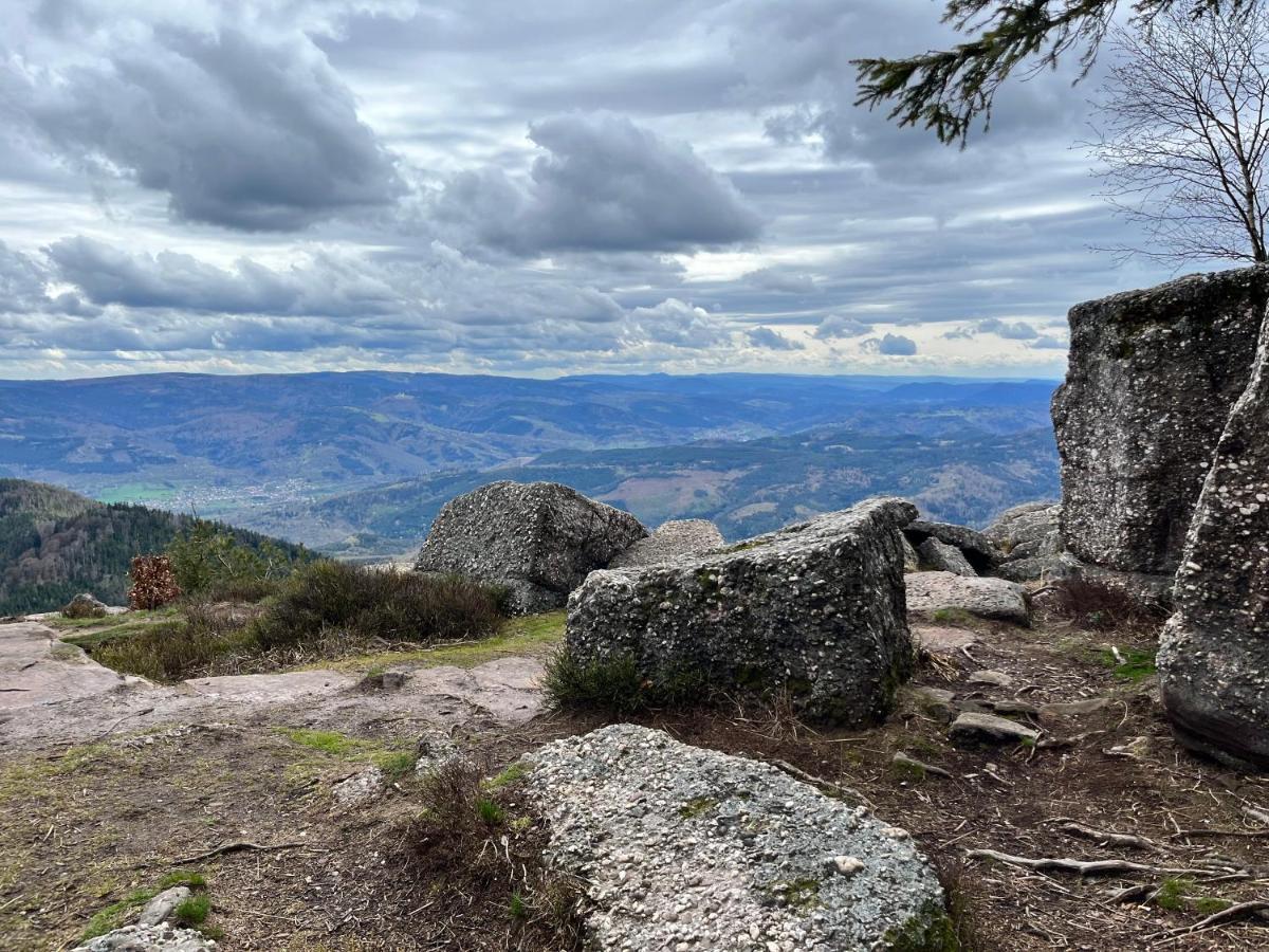 Maison Independante De Montagne En Alsace Bellefosse Ngoại thất bức ảnh