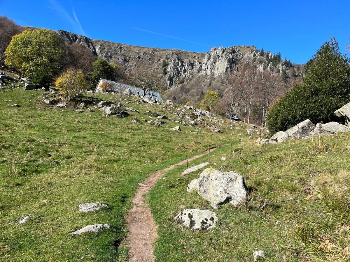 Maison Independante De Montagne En Alsace Bellefosse Ngoại thất bức ảnh