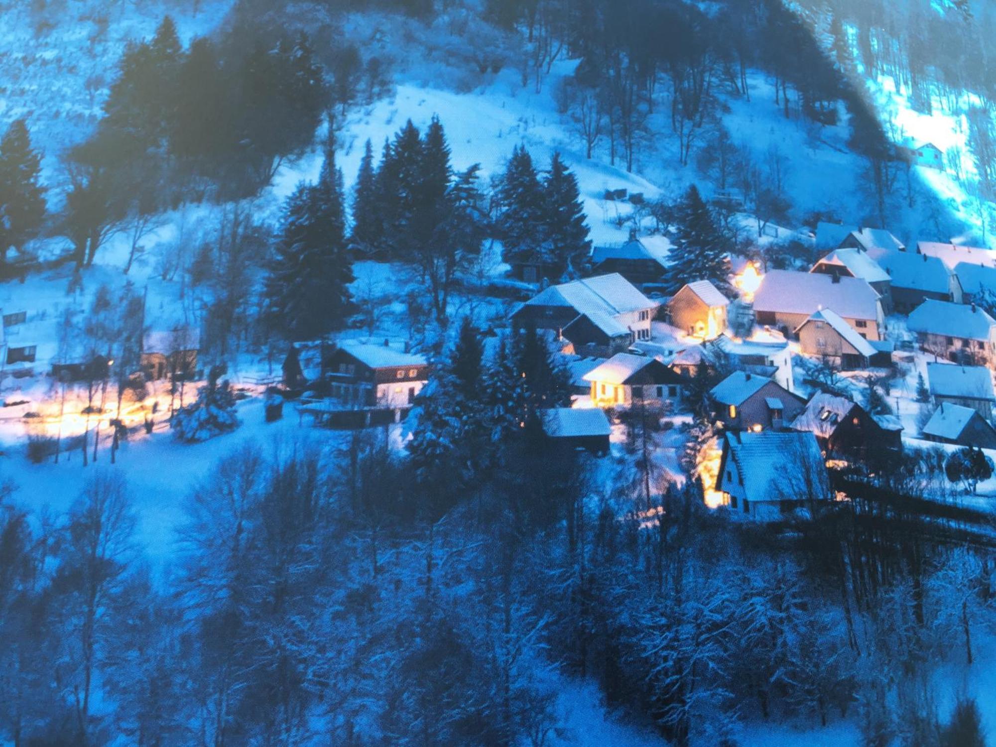 Maison Independante De Montagne En Alsace Bellefosse Ngoại thất bức ảnh