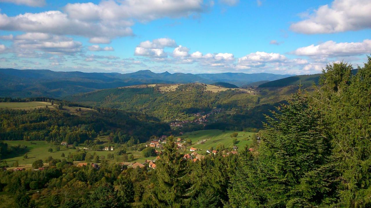Maison Independante De Montagne En Alsace Bellefosse Ngoại thất bức ảnh