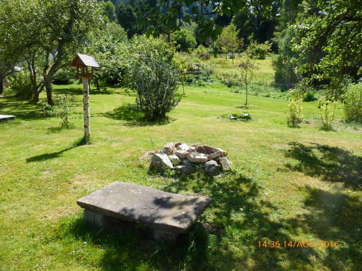 Maison Independante De Montagne En Alsace Bellefosse Ngoại thất bức ảnh