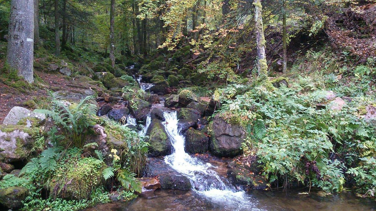 Maison Independante De Montagne En Alsace Bellefosse Ngoại thất bức ảnh