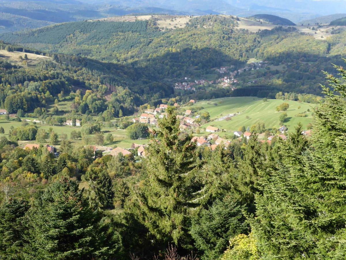 Maison Independante De Montagne En Alsace Bellefosse Ngoại thất bức ảnh